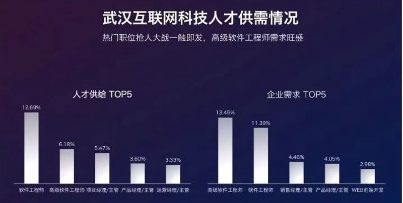 武汉软件开发：挖掘本土市场潜力的金钥匙